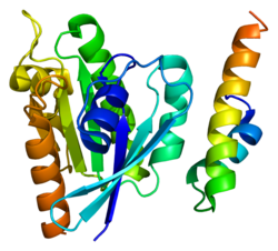 Ақуыз GGA1 PDB 1j2j.png