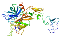 Protein PROC PDB 1aut.png