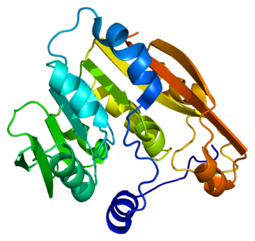 Thiopurine methyltransferase