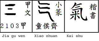 <i>Qi</i> Vital force forming part of any living entity in traditional Chinese philosophy