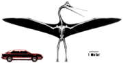 Thumbnail for Quetzalcoatlus