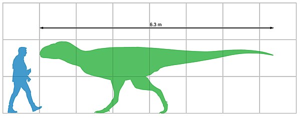 Size of Rahiolisaurus gujaratensis compared to a human