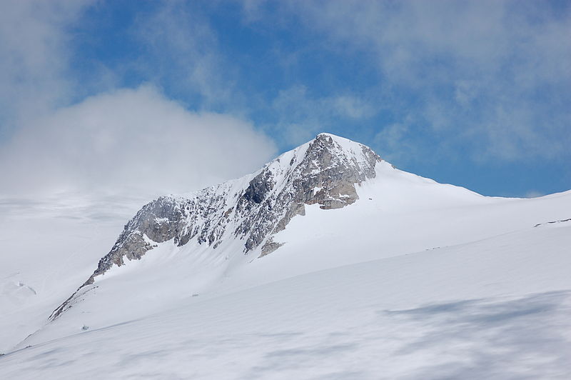 File:Rainerhorn von der Weißspitze.JPG