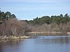 Jezero Reed Bingham Park 1.JPG