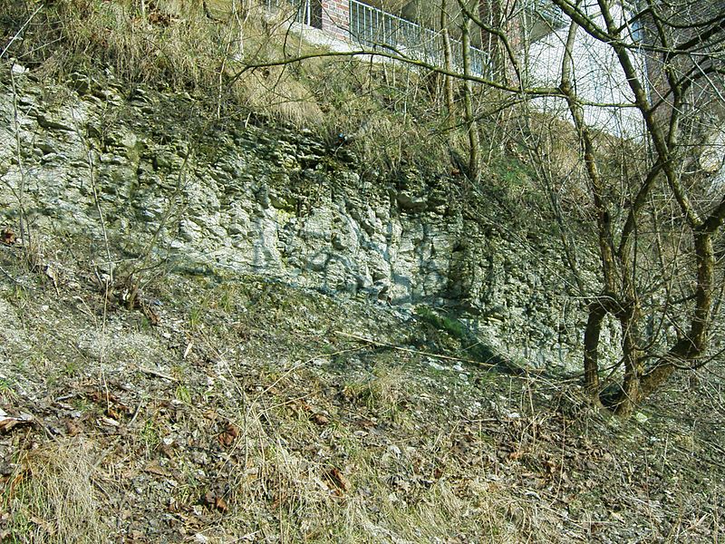 File:Rheine-Steilufer-rechts.jpg