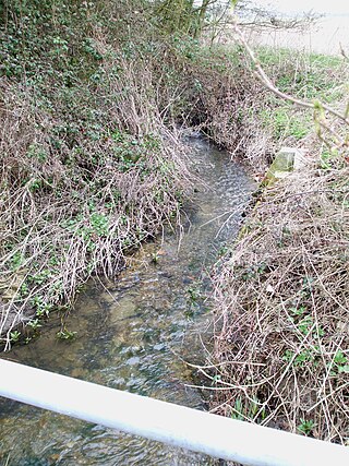 <span class="mw-page-title-main">River Ter</span> River in England