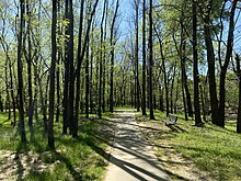 The Riverwalk Trail near the Dan Daniel Park along the Dan River.