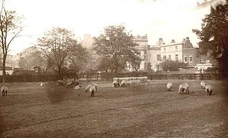 Rush Common, Brixton, around 1892 Rush Common, Brixton.jpg