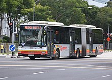 The MAN A24 Articulated Bus is the only model of Articulated Bus model left in the SMRT fleet. It is also the last batch of articulated buses in Singapore. SMRT Buses MAN NG363F.jpg