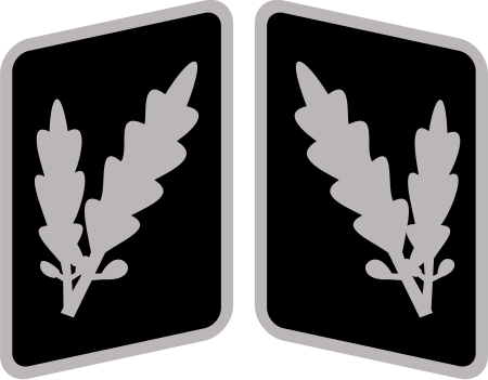 ไฟล์:SS-Oberführer_Collar_Rank.svg