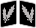 SS-Oberführer Collar Rank.svg