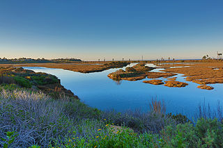 San Elijo Lagoon Coastal wetland in San Diego County, California, United States