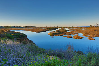 San Elijo Lagoon, 2015 San Elijo Lagoon.jpg