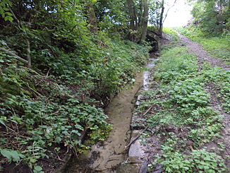 The Schirnbach shortly after its source