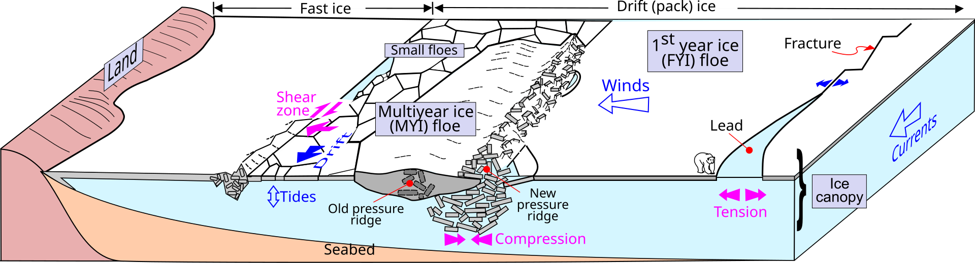 https://upload.wikimedia.org/wikipedia/commons/thumb/d/d8/Sea_ice_Drawing_General_features.svg/1920px-Sea_ice_Drawing_General_features.svg.png