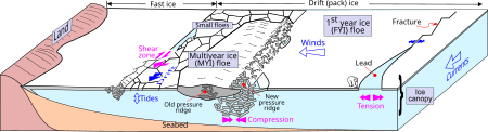 Air batu laut - Wikipedia Bahasa Melayu, ensiklopedia bebas