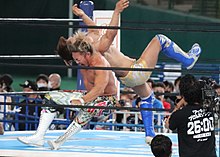 Seibu Dome Wrestle Grand Slam IMG 5003.jpg
