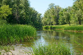 przewód kolczugowy