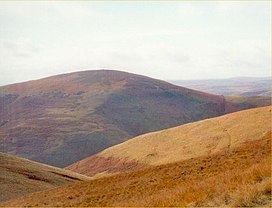 Shillhope Law.jpg