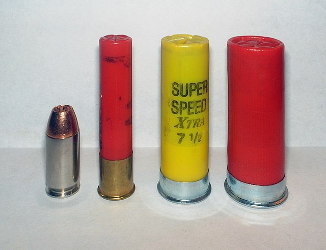 From left to right: a .45 ACP, a .410 bore shotshell, a 20 gauge shotshell, and a 12 gauge shotshell