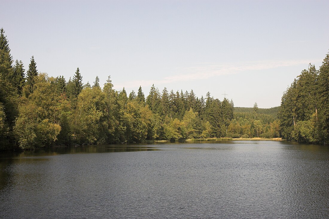 Brunnenbacher Teich