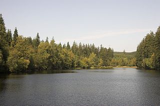 Silberteich dam in Goslar, Lower Saxony, Germany