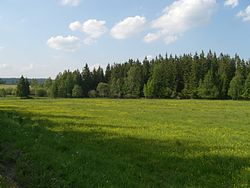 Slavkovský les(2).jpg