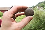 Thumbnail for File:Soil-test-ball.JPG