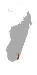distribusjon av Hapalemur meridionalis