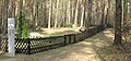 Deutsch: Waldfriedhof für das Speziallager Nr. 7 im Wald zwischen Oranienburg und Schmachtenhagen