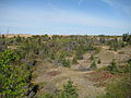 Thumbnail for Spruce Woods Provincial Park