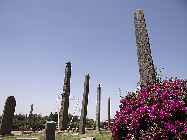 Image: Stelae in Main Stelae Field   Axum (Aksum)   Ethiopia   02 (8702223458)