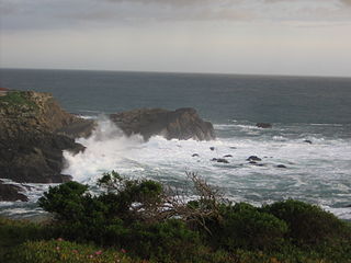 Stillwater Cove inlet in California