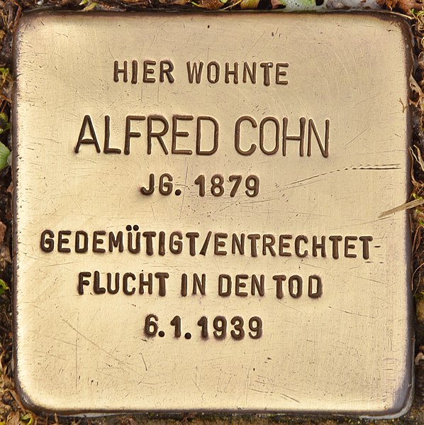 File:Stolperstein für Alfred Cohn (Erlangen).jpg