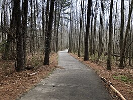 Suwanee Creek Greenway, Maret 2019 2.jpg