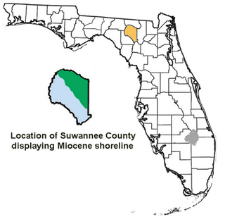 <span class="mw-page-title-main">Suwannee County, Florida paleontological sites</span>