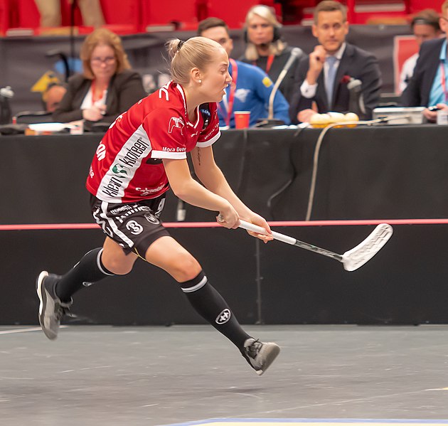 File:Swedish Super Leauge Women Final 2019 39.jpg