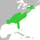 Symphyotrichum concolor distribution map