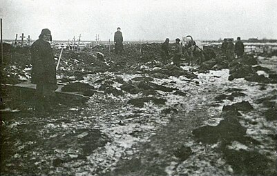 Захоронение воинов Северо-Западной армии, умерших от тифа. Февраль 1920 года, Вирумаа