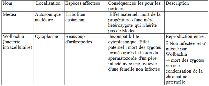 Effet maternel — Wikipédia