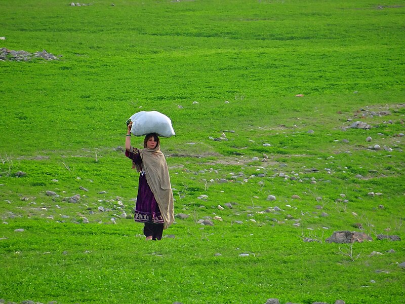 File:Tarbela Dam Area.JPG