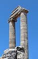 * Nomination Columns in the Temple of Apollo, Didyma, Turkey --Bgag 15:12, 21 July 2015 (UTC) * Promotion Good quality.--Agnes Monkelbaan 15:38, 21 July 2015 (UTC)