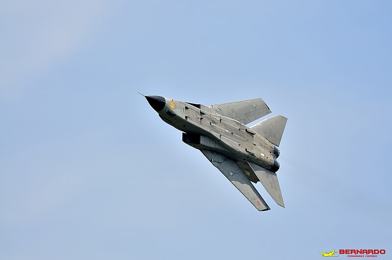 File:The Royal International Air Tattoo 2014 d3s 2446 20354875362 o (49077878996).jpg