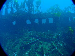 The sides of the hull are rusting away, leaving the frames