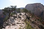 Thumbnail for File:The summit of Angels Landing.jpg