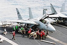 Tomcat.f14.750pix.jpg