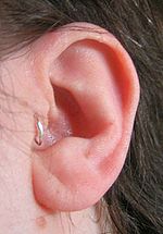 Thumbnail for Tragus piercing