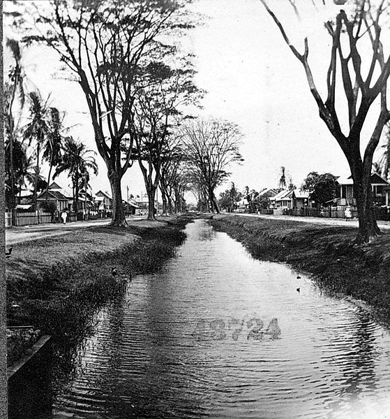 File:Tree-lined street with water running through it (4290353531).jpg