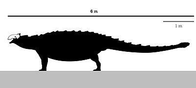 Skeleton reconstruction of Tsagantegia