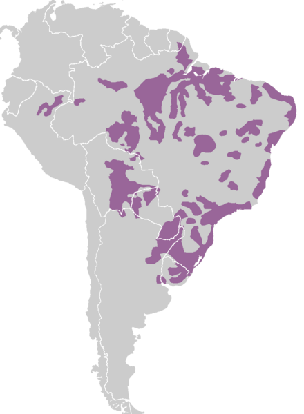 Tupi language - Wikipedia